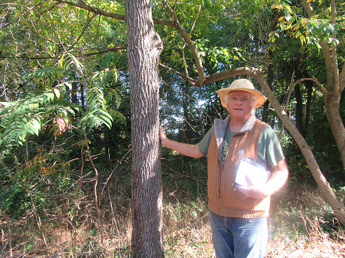 Alan_Ford_is_President_of_the_Potowmack_Chapter_of_the_Virginia_Native_Plant_Society_here_describing_an_American_black_walnut_tree_Juglans_nigra_and_its_allelopathic_qualities_This_tree_can_disrupt_or_stunt_the_growth_of_other_plants_near_it-gb-700.jpg