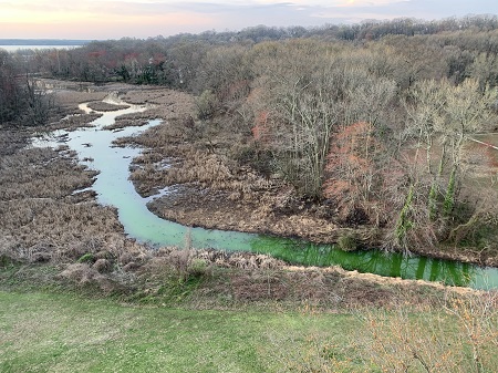 Dyke Marsh west