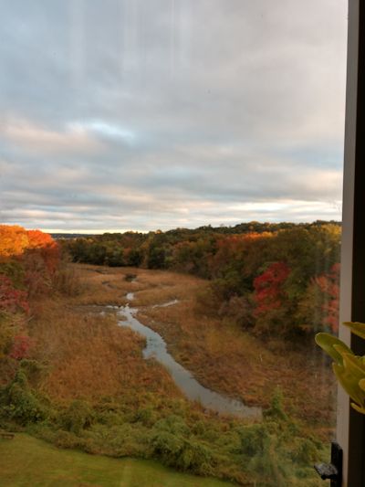 Dyke Marsh west