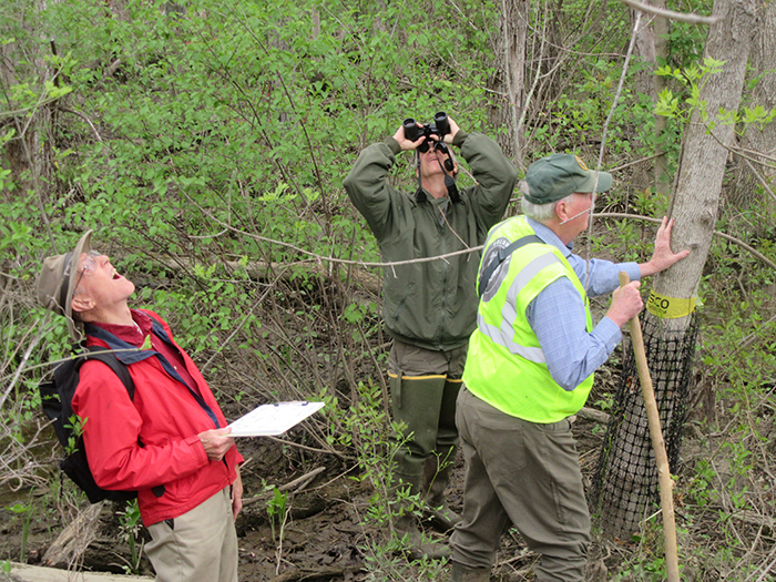 Jim_Gearing_Brent_Steury_and_Robert_Smith_assessed_the_trees_leafing_out_700.jpg