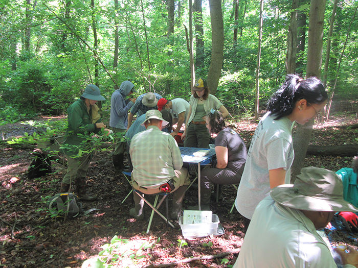 They_searched_through_the_sediments_for_invertebrates-1-700.jpg