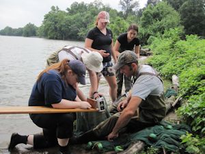 fish survey