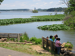 on the benches by the bike trail