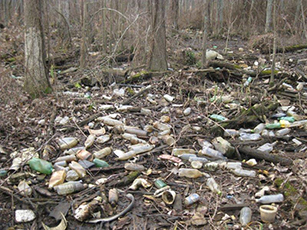 plastic in dyke marsh 3a